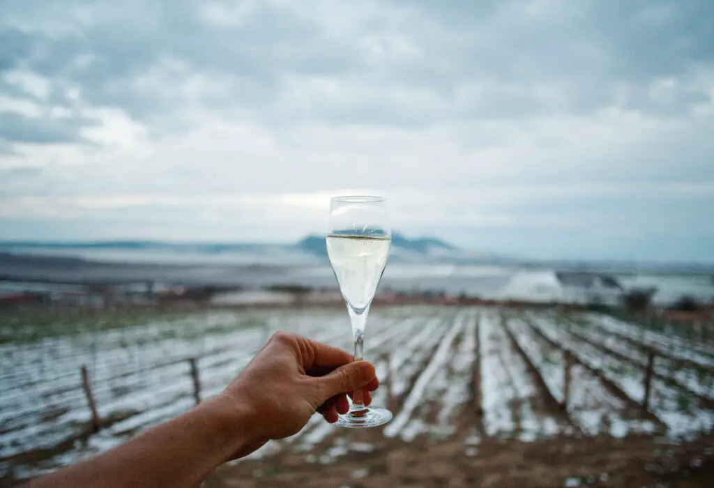 Ice Wine Cheers