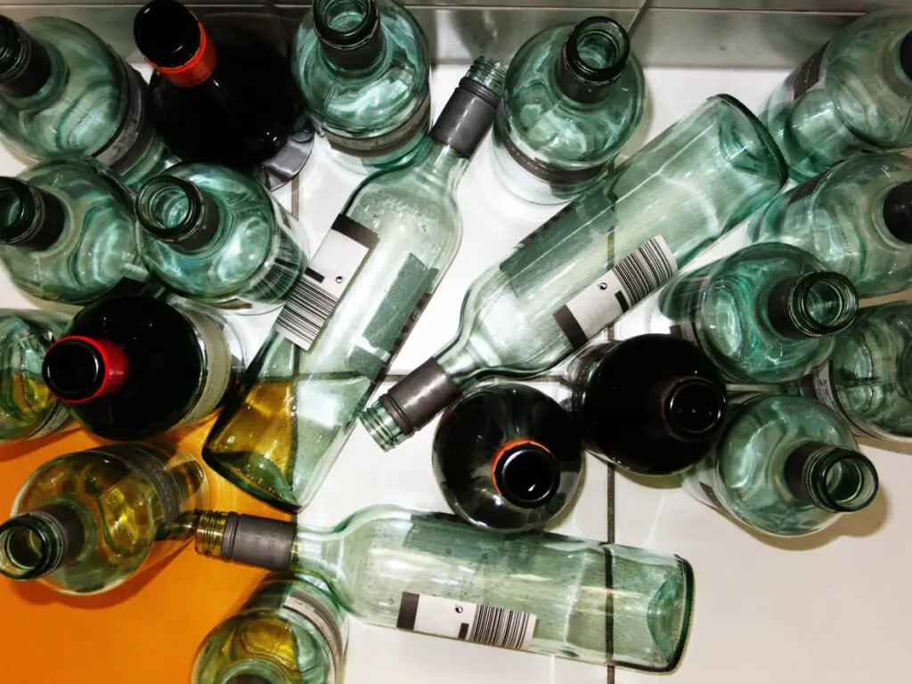 Empty wine bottle 3