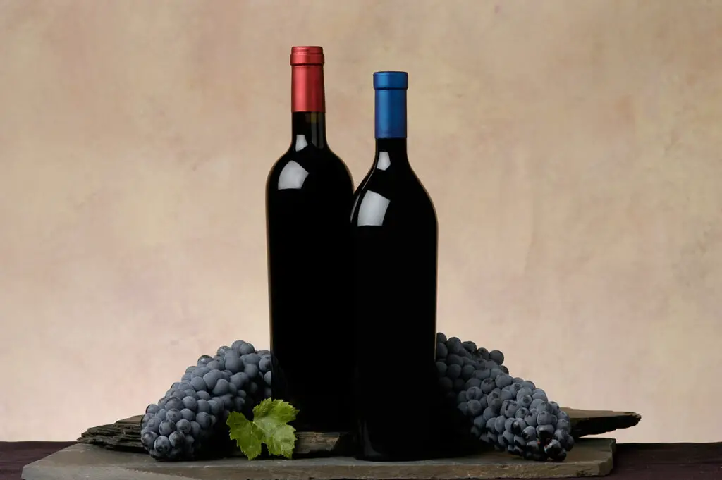 wine bottles and grapes