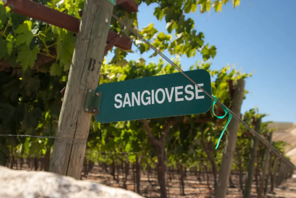 Sangiovese Signpost