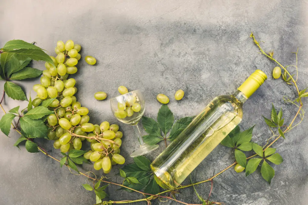 Top view of bottle white wine, green vine, wineglass and ripe grape on vintage gray stone table background. Wine shop wine bar winery or wine tasting concept
