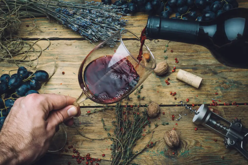 Wine maker pouring red wine (bio) for tasting. Red wine tasting (bio wine) in a wine glass with grapes, nuts and herbs on the background of the old wooden table. Table setting.