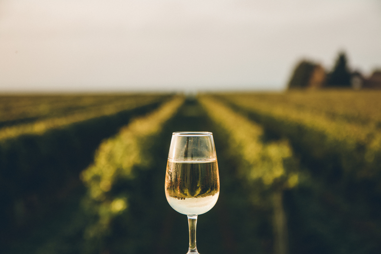 How Long Does Ice Wine Keep? Know The Facts 2024 Update Wesley's