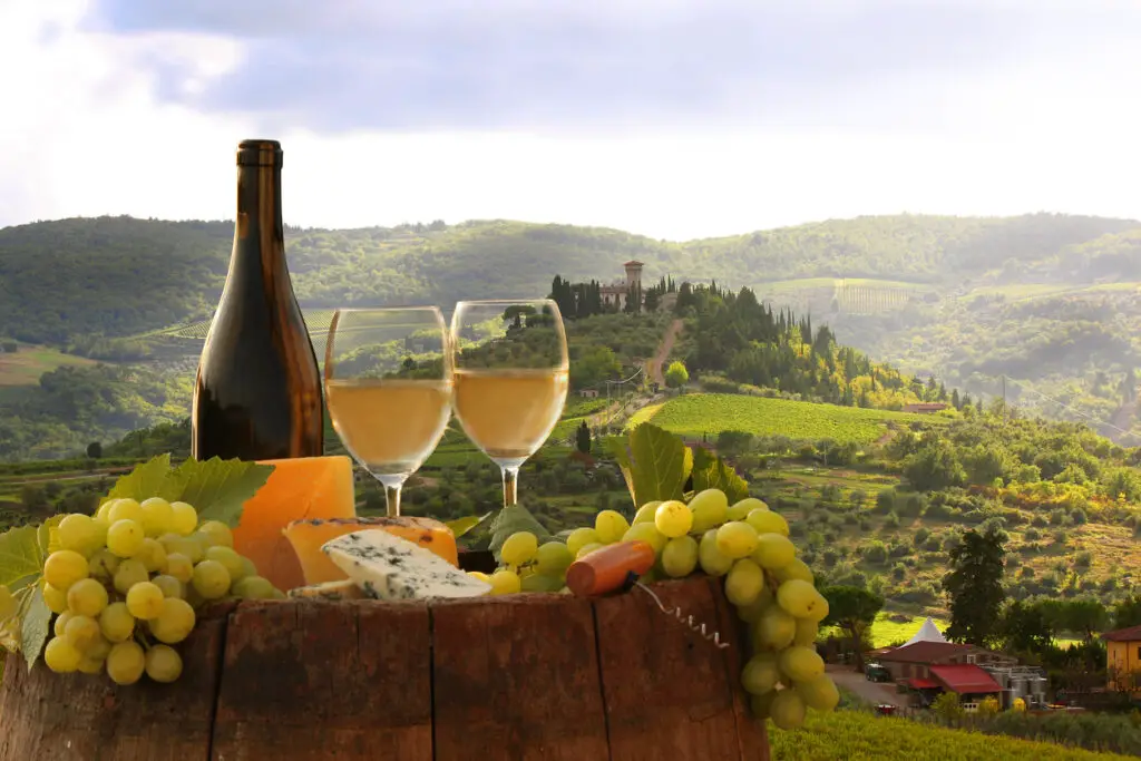 Bottle of wine, cheese and grapes overlooking Chianti view