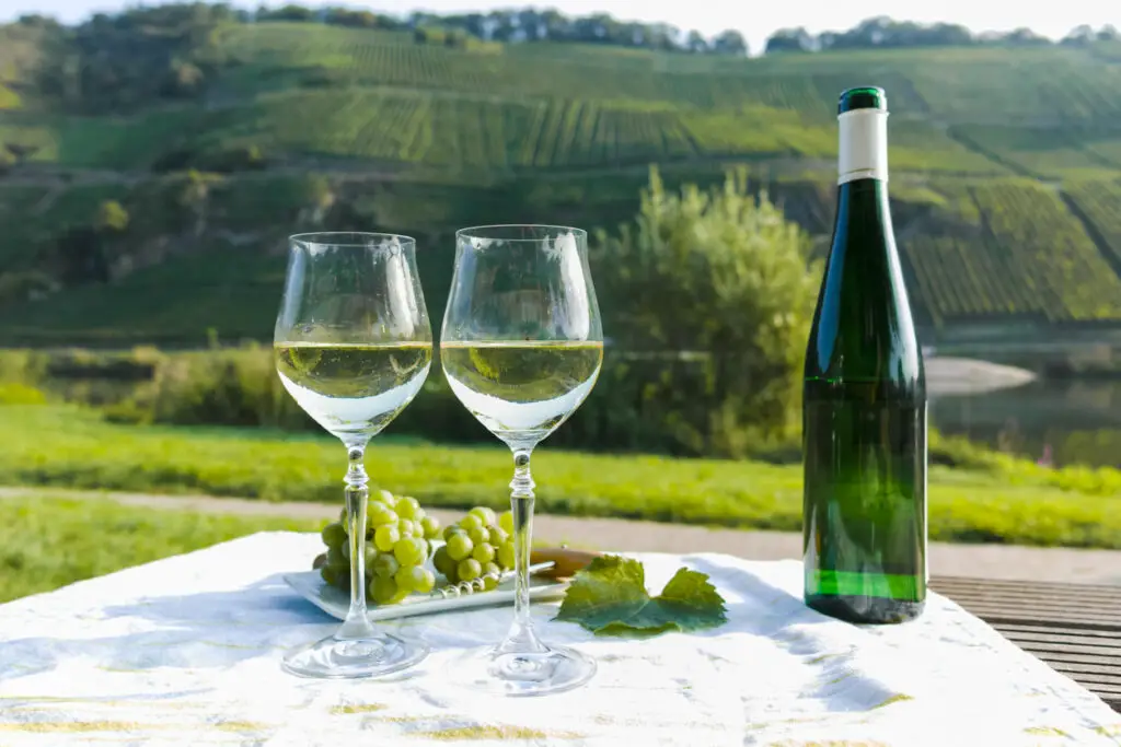 Famous German quality white wine riesling, produced in Mosel wine regio from white grapes growing on slopes of hills in Mosel river valley in Germany