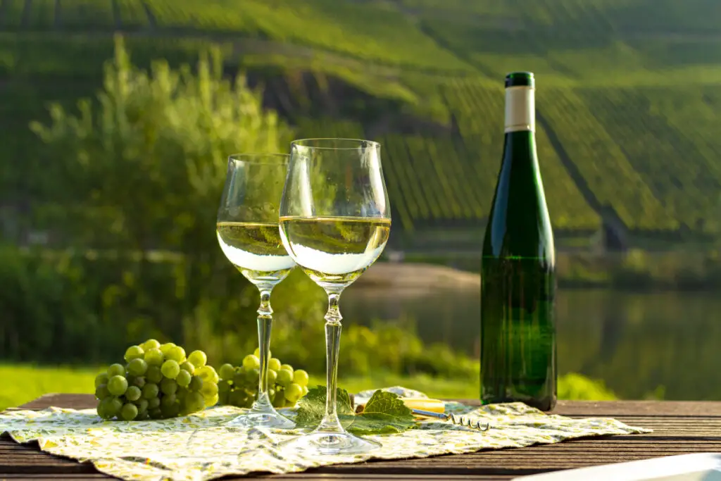 Famous German quality white wine riesling, produced in Mosel wine regio from white grapes growing on slopes of hills in Mosel river valley in Germany