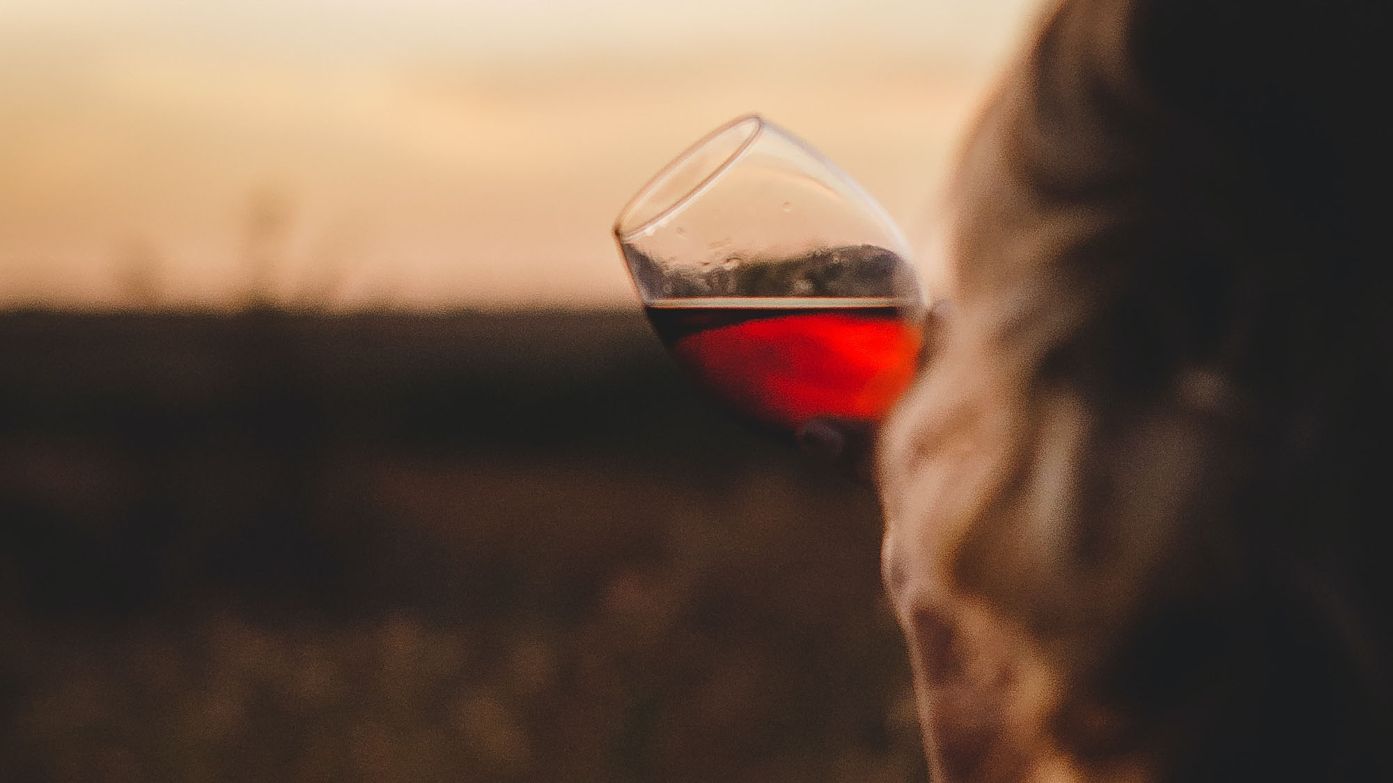 The Best Wine to Drink Without Food The (In)Separable Duo