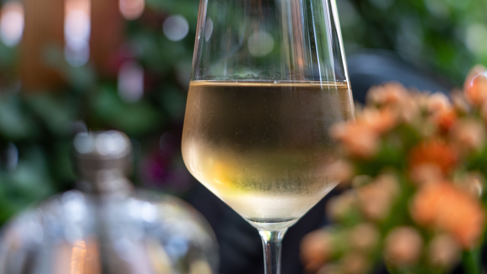 What Wine to Drink When On A Diet How To Lose Weight 2024 Update