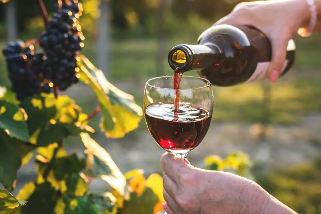 Woman pouring red wine at vineyard