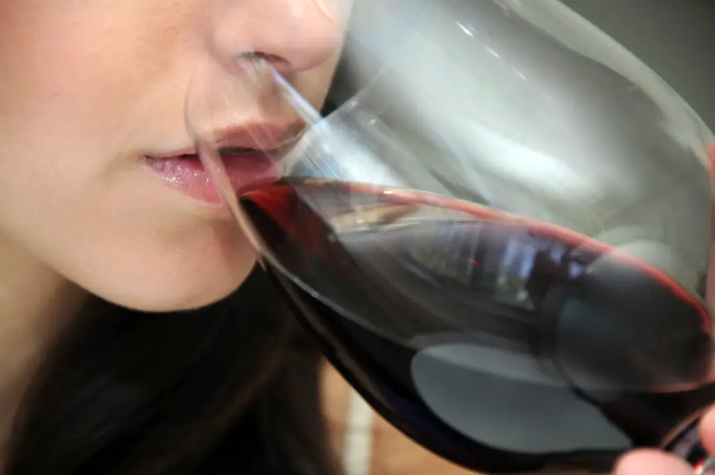 Couple enjoying wine tasting.