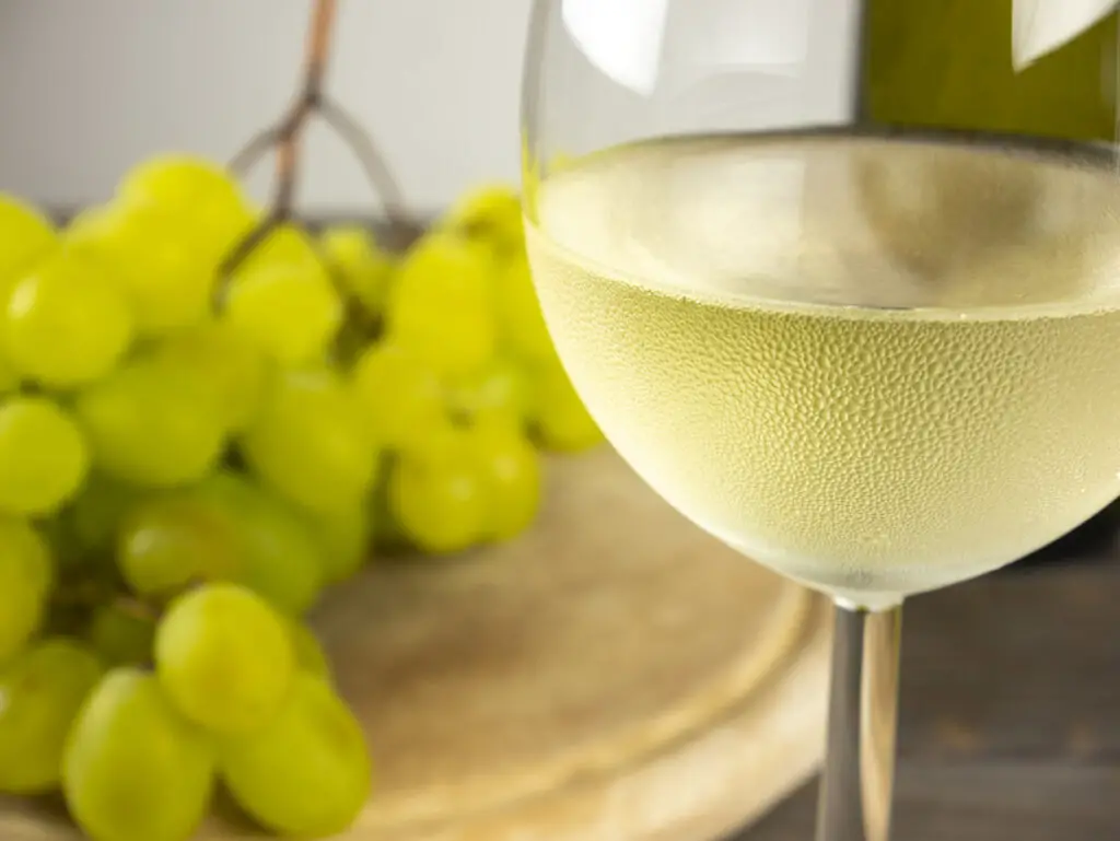 Goblet of white wine. Glass of white wine with bunch of fresh grapes.