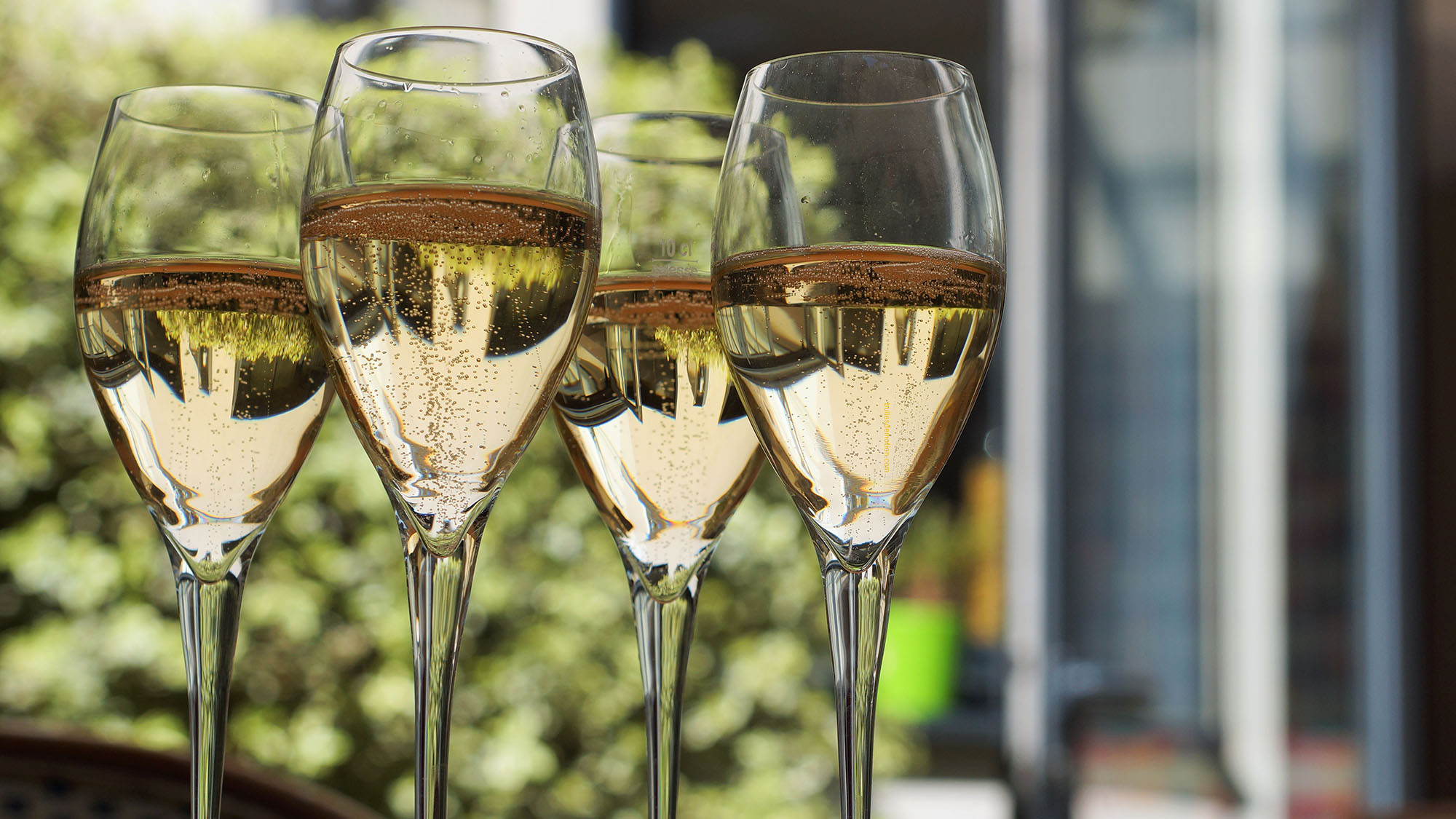 What Does Oak Do To Chardonnay? The Secret Behind The Flavor