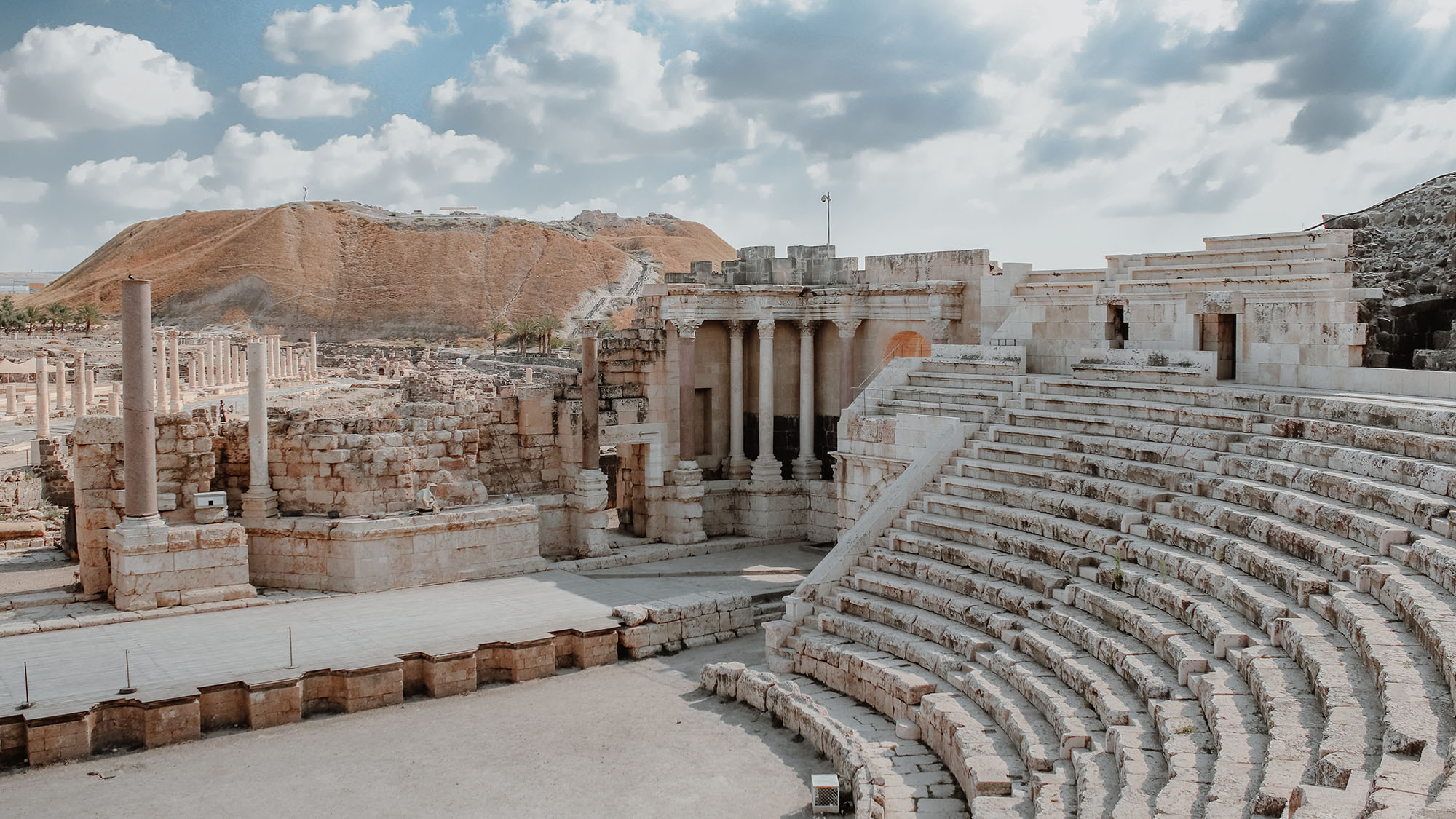 What Wine Did the Romans Drink A Glimpse Into History