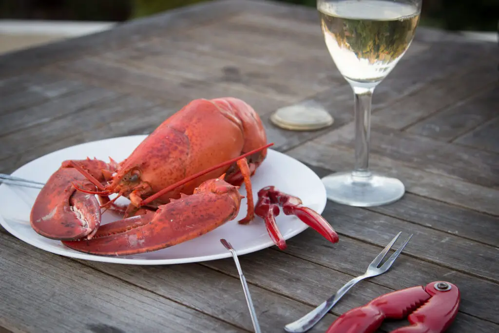 A closely cropped shot of delicious lobster and lamb served with red wine