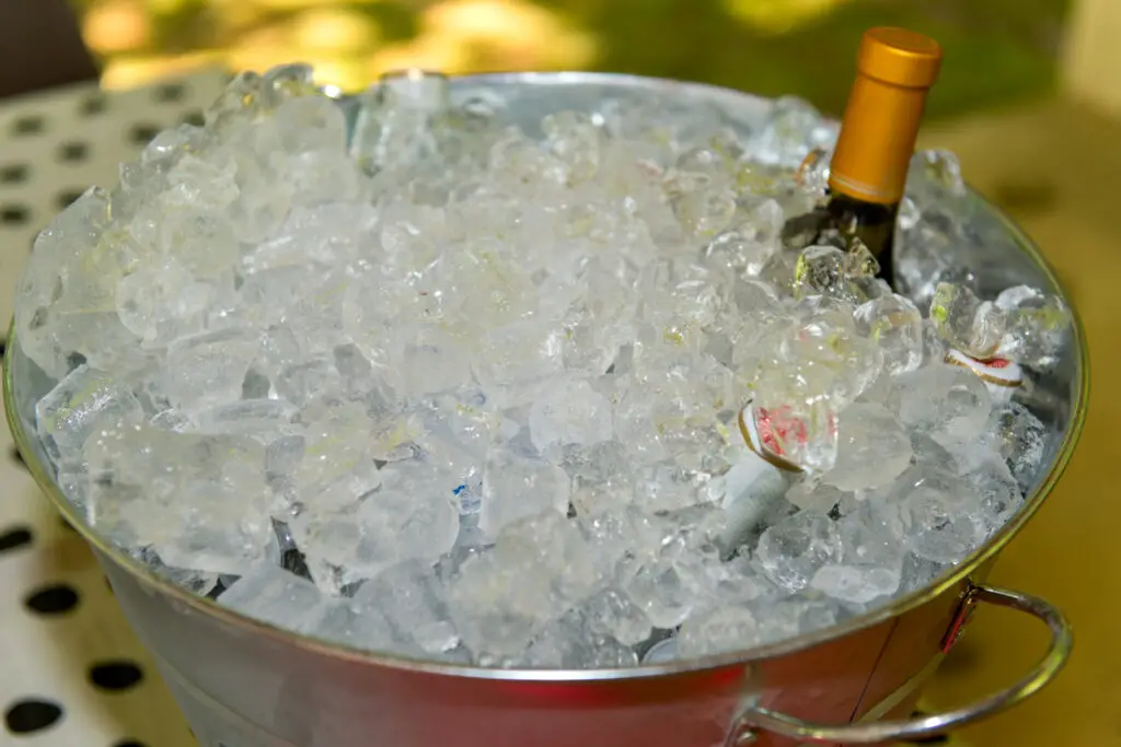 Ice Bucket with Bottles of Wine and Beer