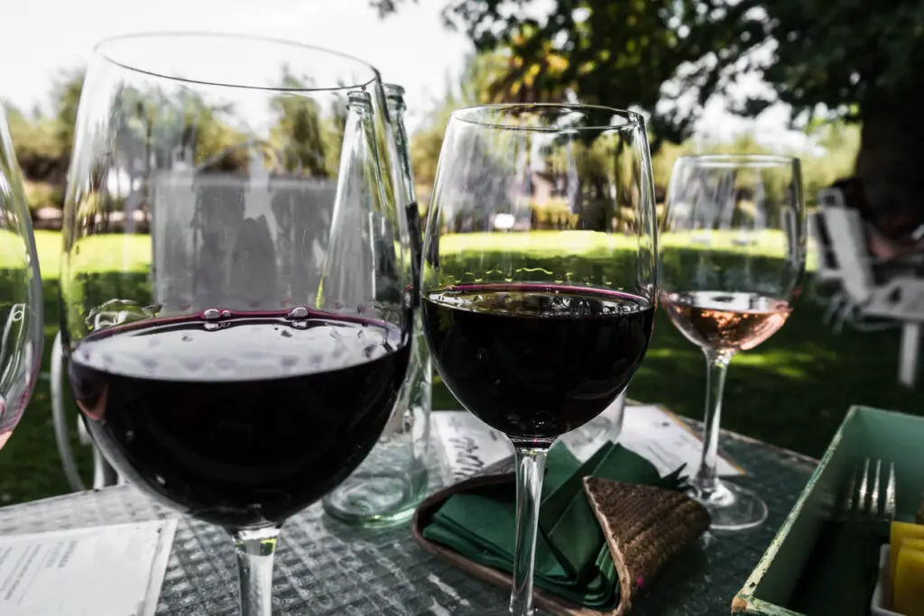 Wine glasses with a picnic table and trees in the background